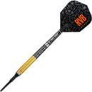 Raymond Van Barneveld 95 Gen 2 17g