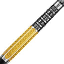 Raymond Van Barneveld 95 Gen 2 17g